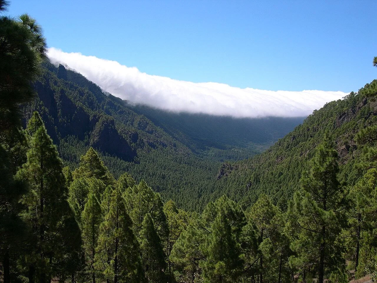 Cumbre Nueva, Espagne, Canaries