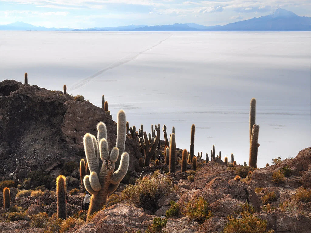 Isla del Pescado, Bolivie