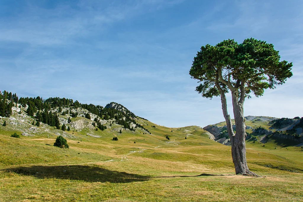 Plaine de la Queyrie, France