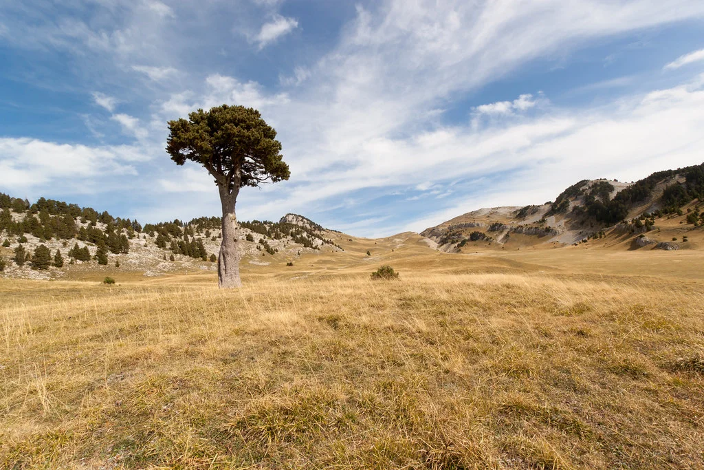 Plaine de la Queyrie, France