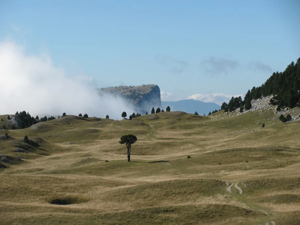 Plaine de la Queyrie, France