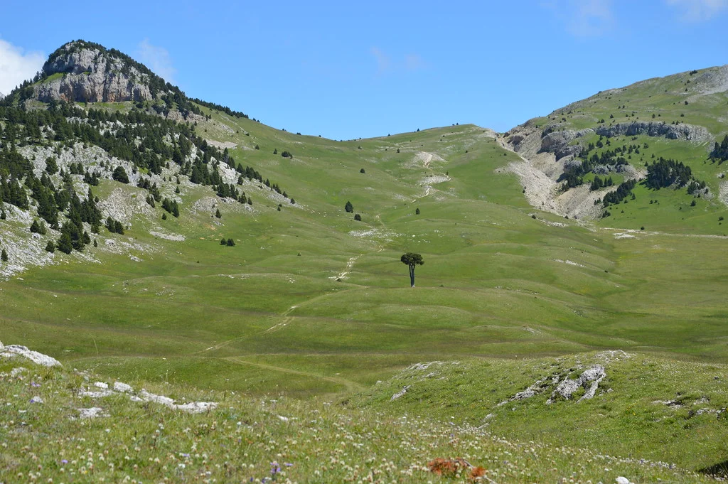 Plaine de la Queyrie, France
