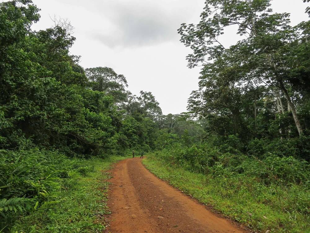 Parc national de Campo-Ma’an, Cameroun