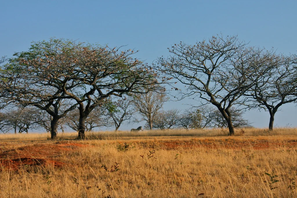 Vallée d'Ezulwini, Swaziland