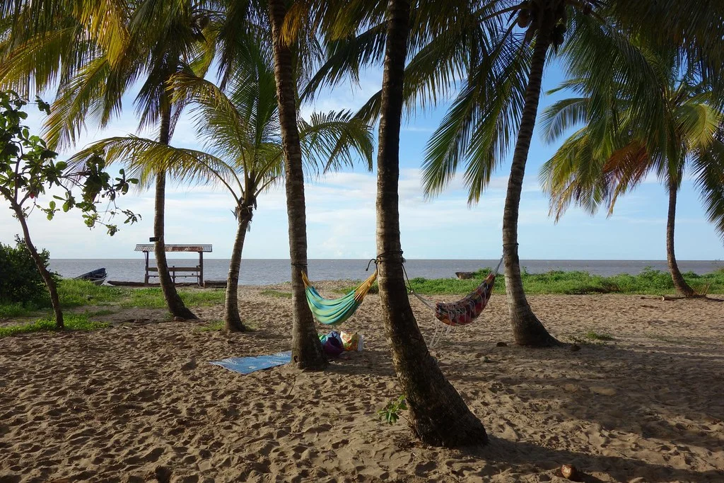 Plage des Hattes, Guyane française