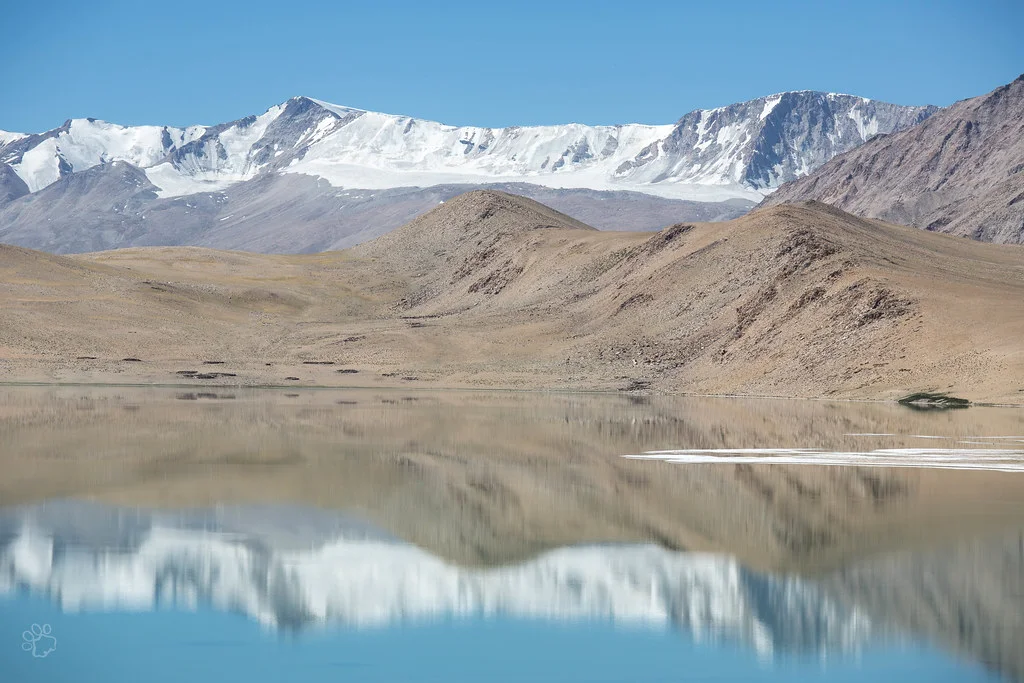 Mentok Kangri, Inde