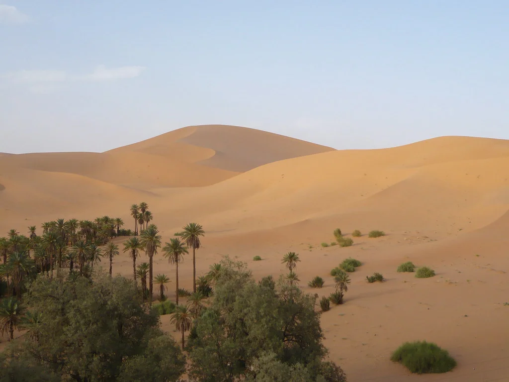 Dune de Taghit, Algérie