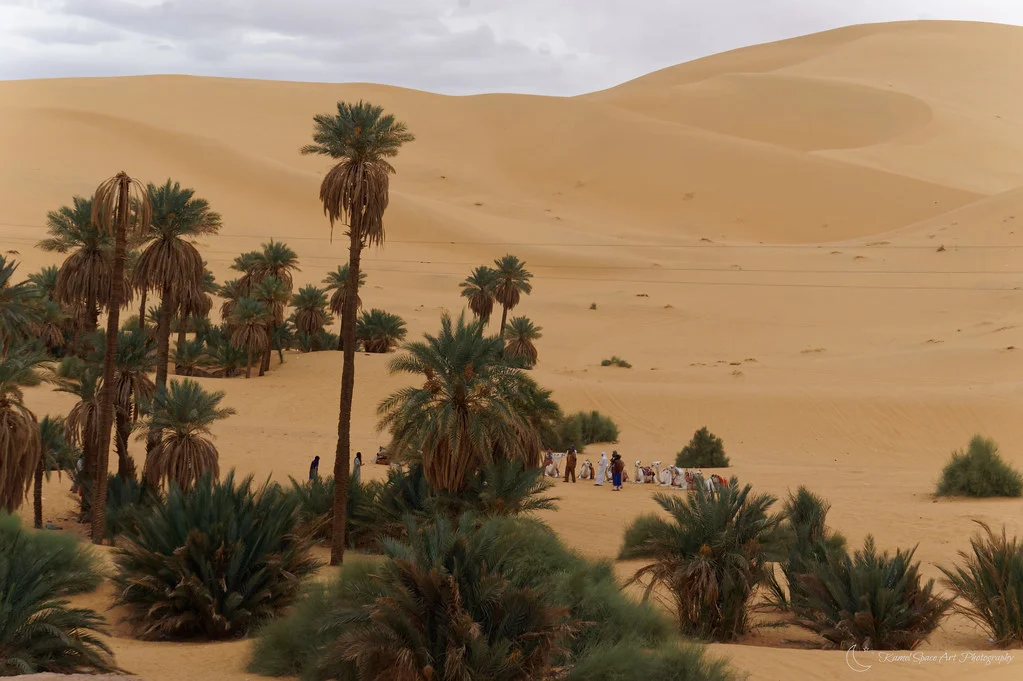 Dune de Taghit, Algérie