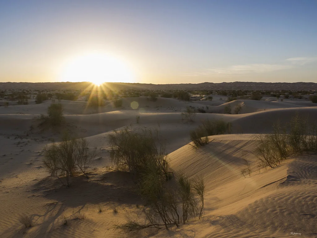 Dune de Taghit, Algérie