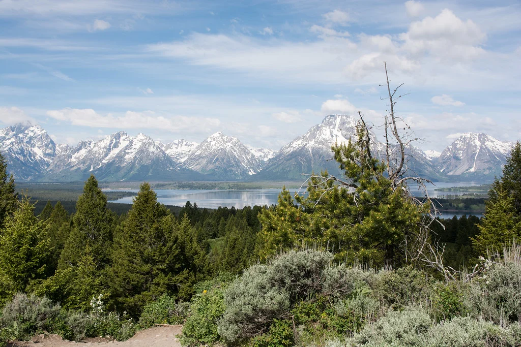 Signal Mountain Road, États-Unis