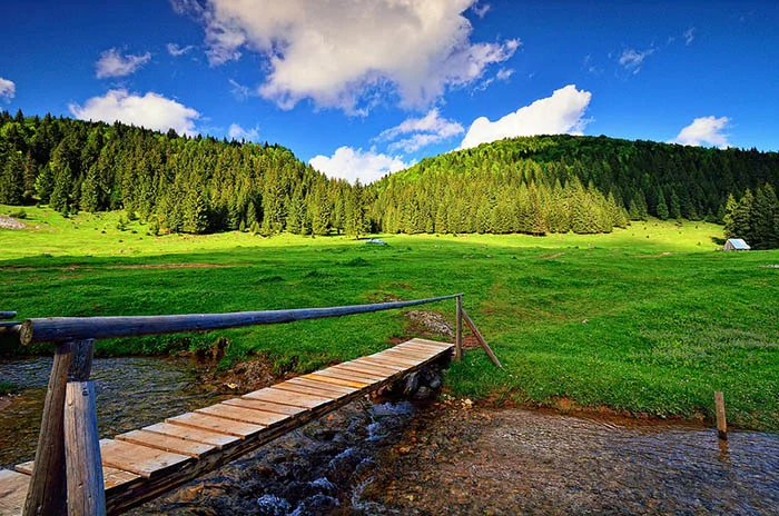 Plateau de Padis, Roumanie