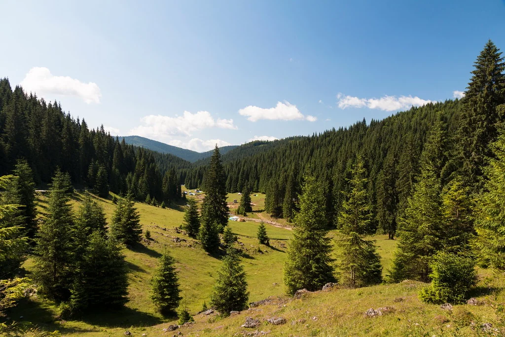 Plateau de Padis, Roumanie