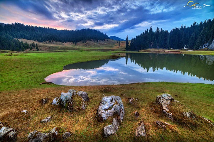 Plateau de Padis, Roumanie