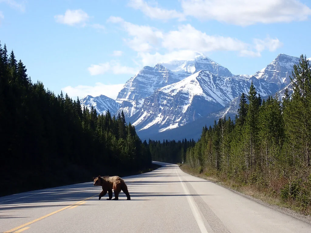 Mont Temple, Canada