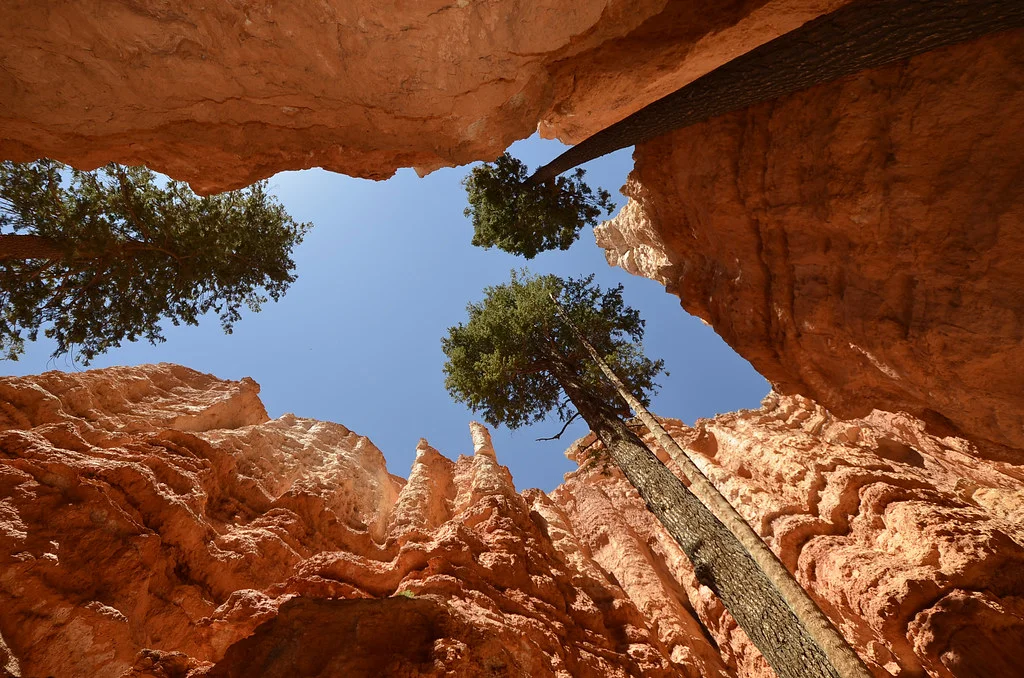 Fairyland Loop Trail, États-Unis