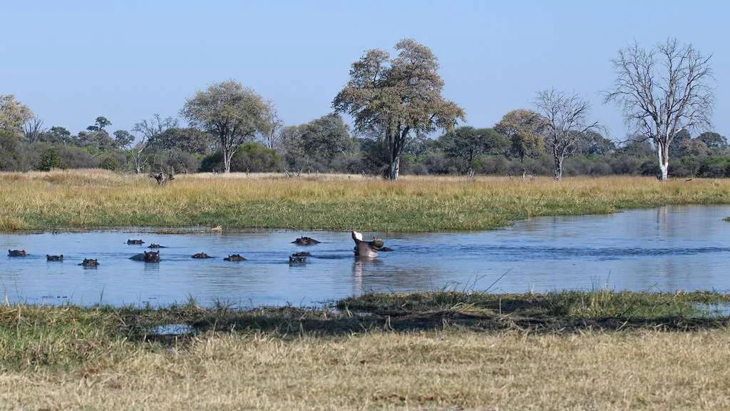 Khwai River, Botswana