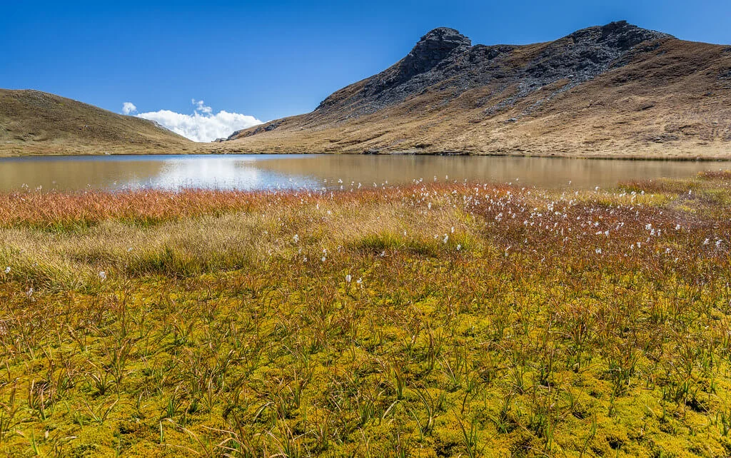 Lac Mézan, France