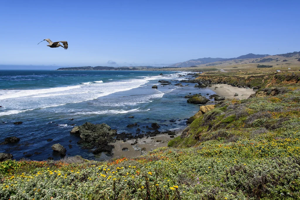 California State Route 1, États-Unis