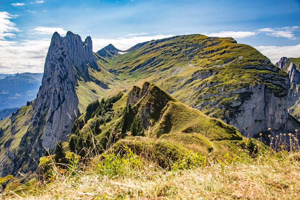Saxer Lucke, Suisse, Suisse