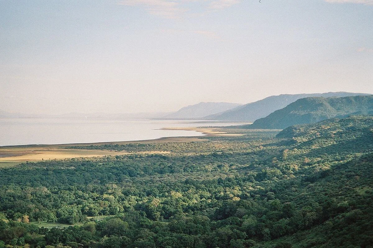 Lac Manyara, Tanzanie