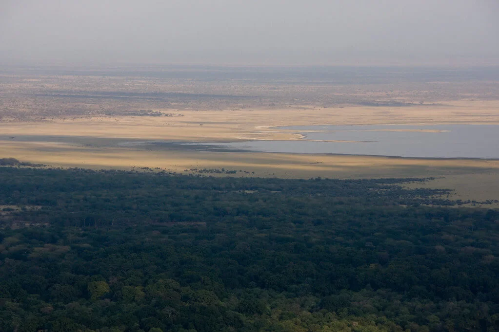 Lac Manyara, Tanzanie