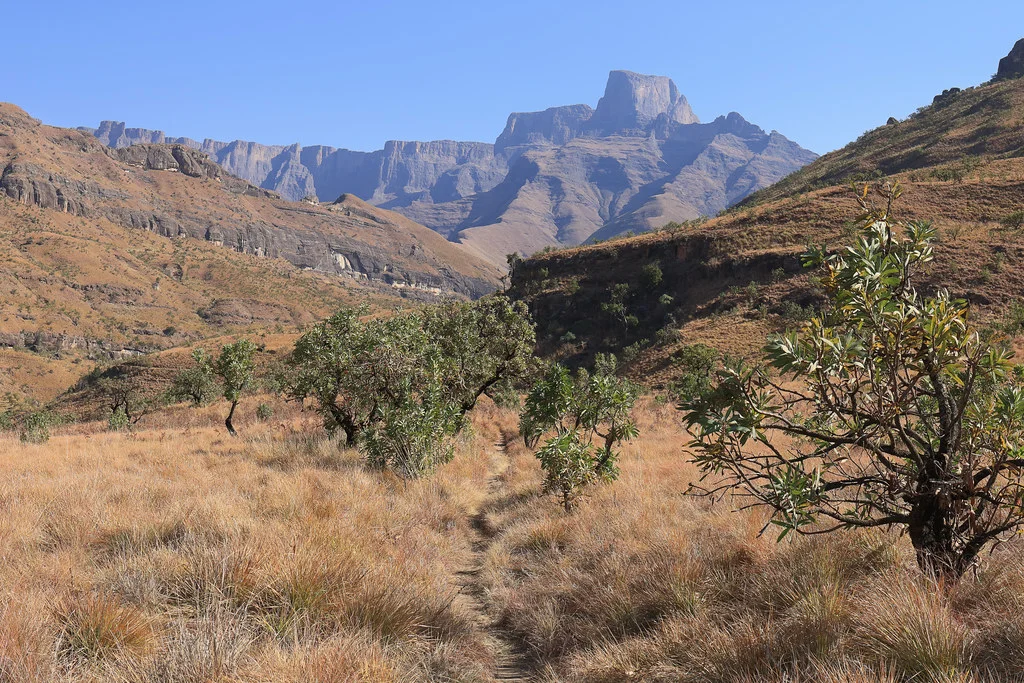 Champagne Castle, Afrique du Sud