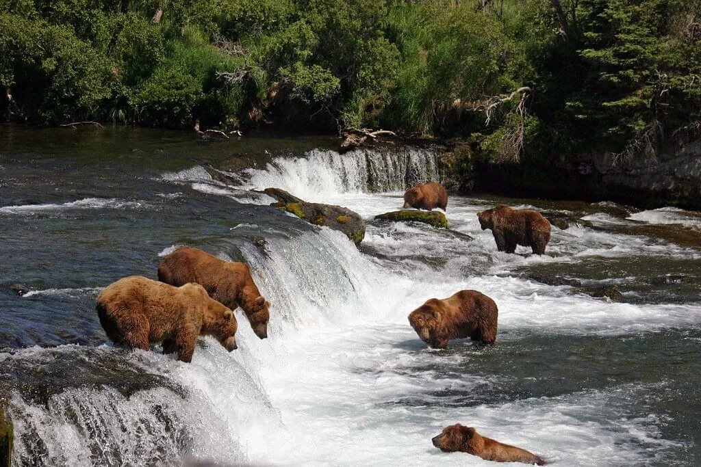 Chutes de Brooks, États-Unis