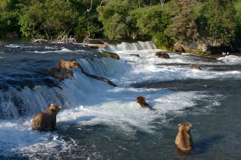 Chutes de Brooks, États-Unis