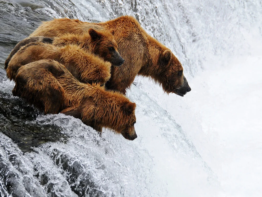 Chutes de Brooks, États-Unis