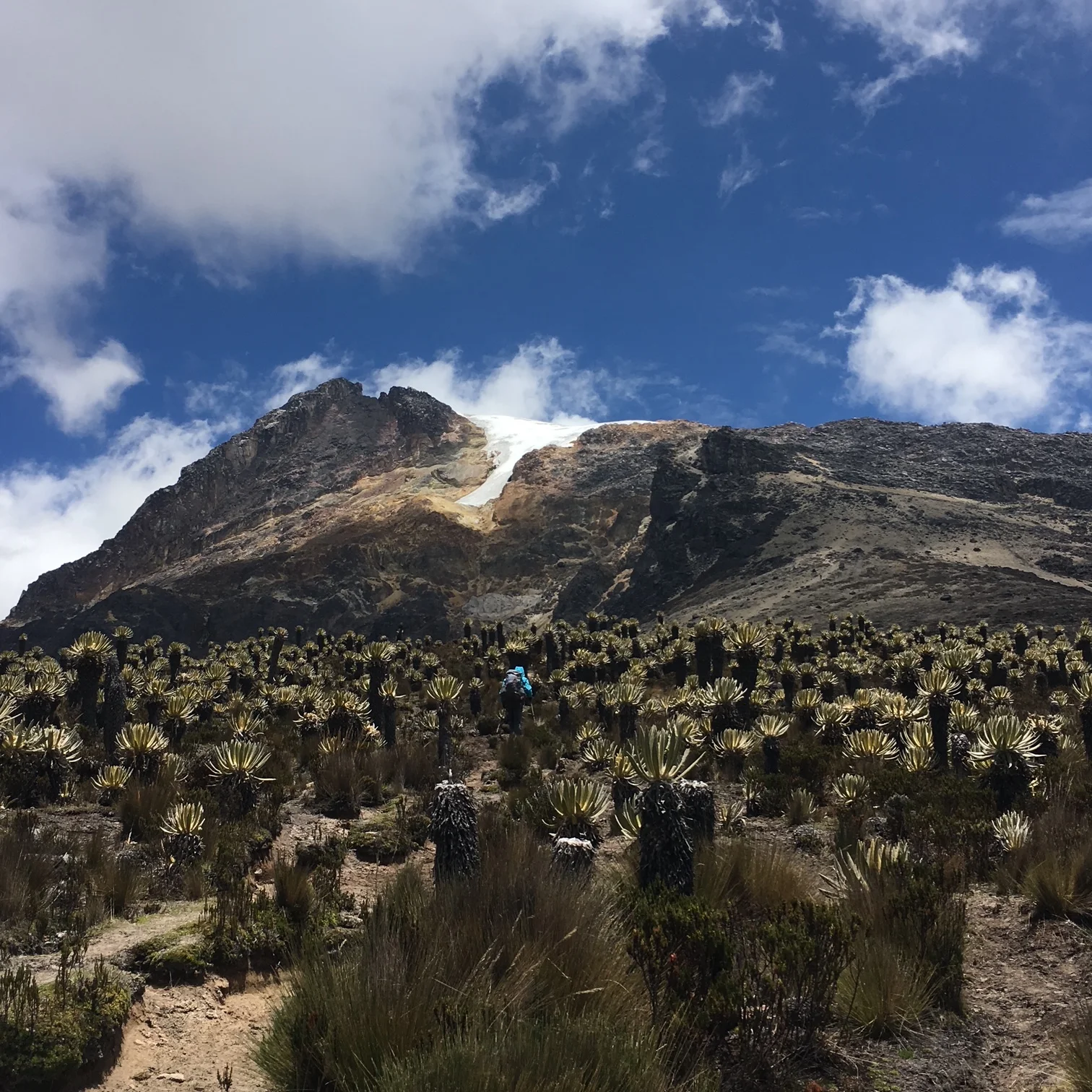 Nevado del Tolima, Colombie