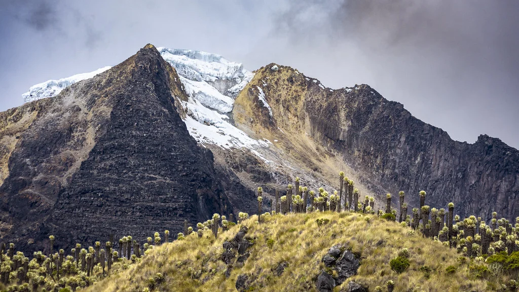 Nevado del Tolima, Colombie