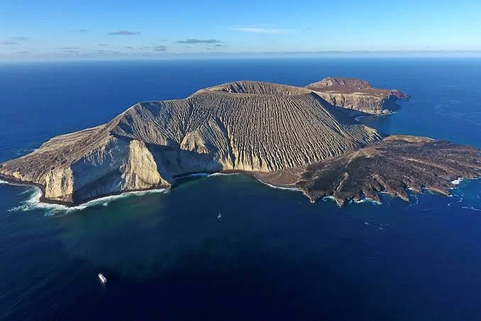 Île Socorro, Mexique