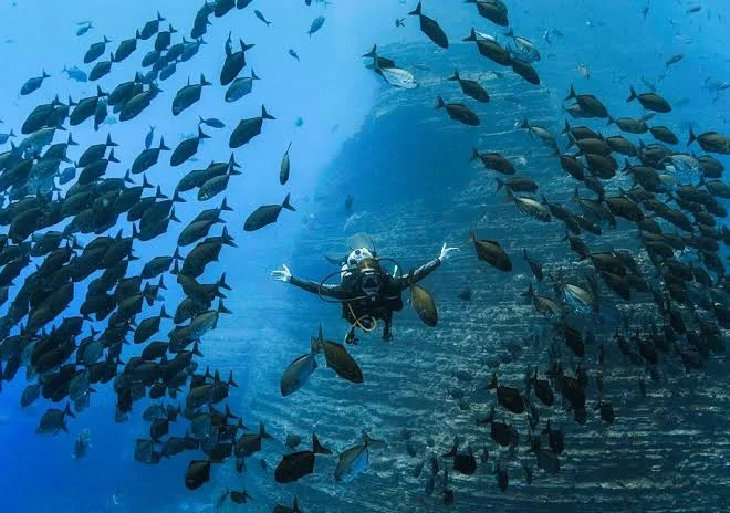 Île Socorro, Mexique