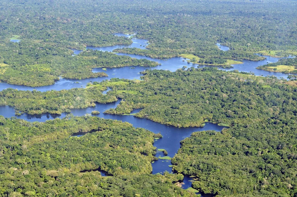 Delta de l'Amazone, Brésil, Brésil