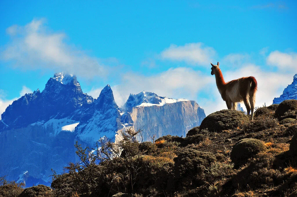 Parc national Torres del Paine, Chili