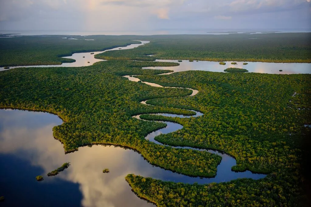 Parc national des Everglades, États-Unis