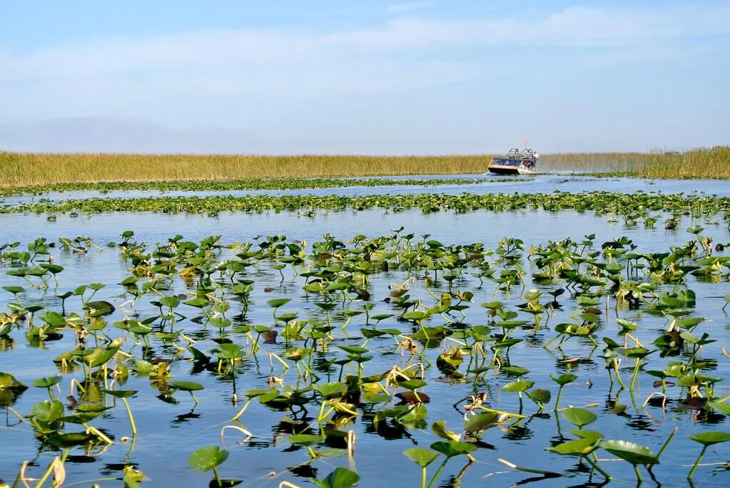 Parc national des Everglades, États-Unis