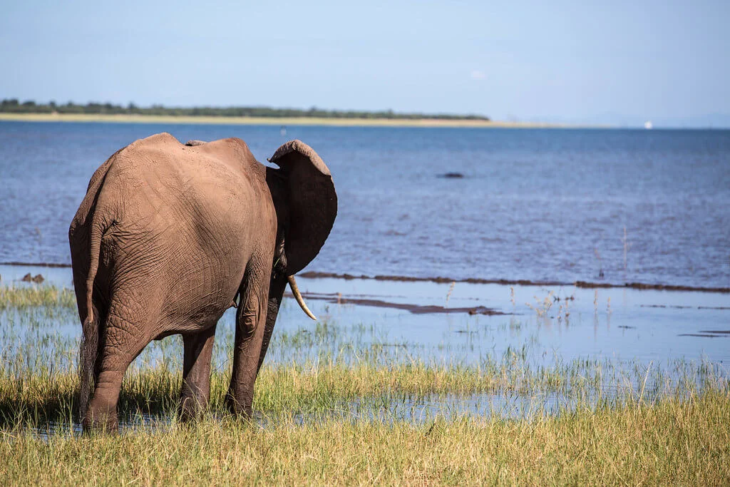 Lac Kariba, Zambie, Zimbabwe, Zimbabwe