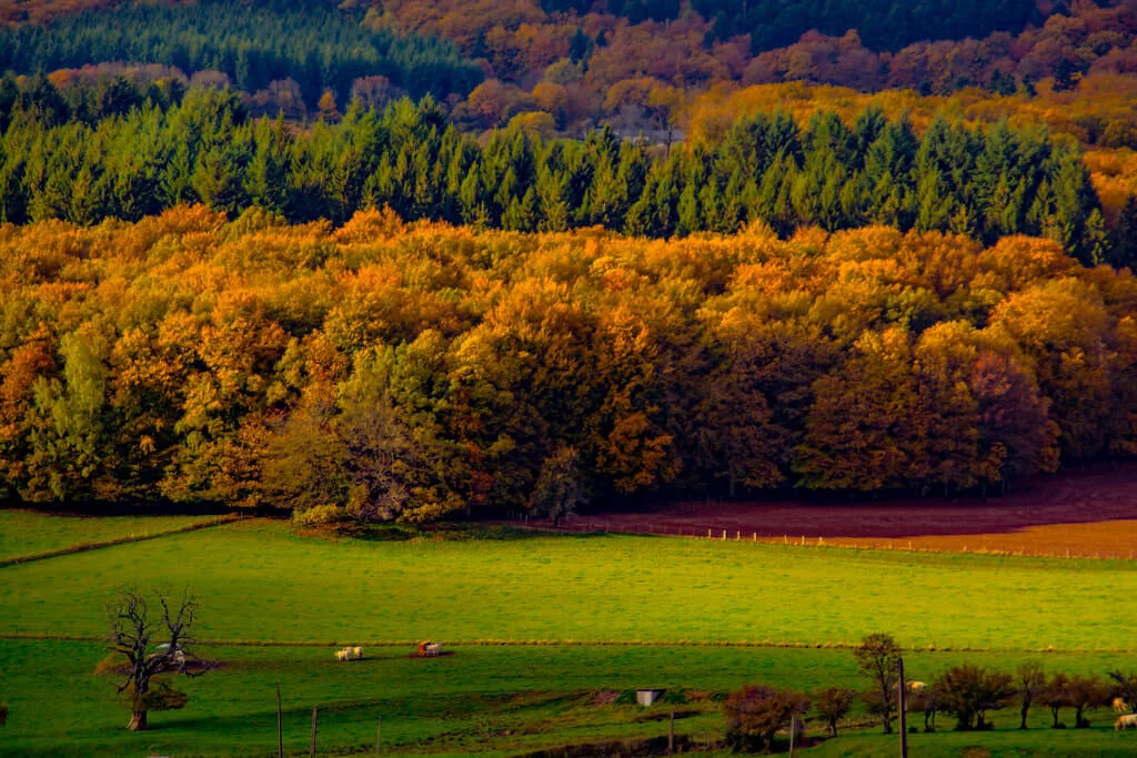 Parc naturel régional du Morvan, France