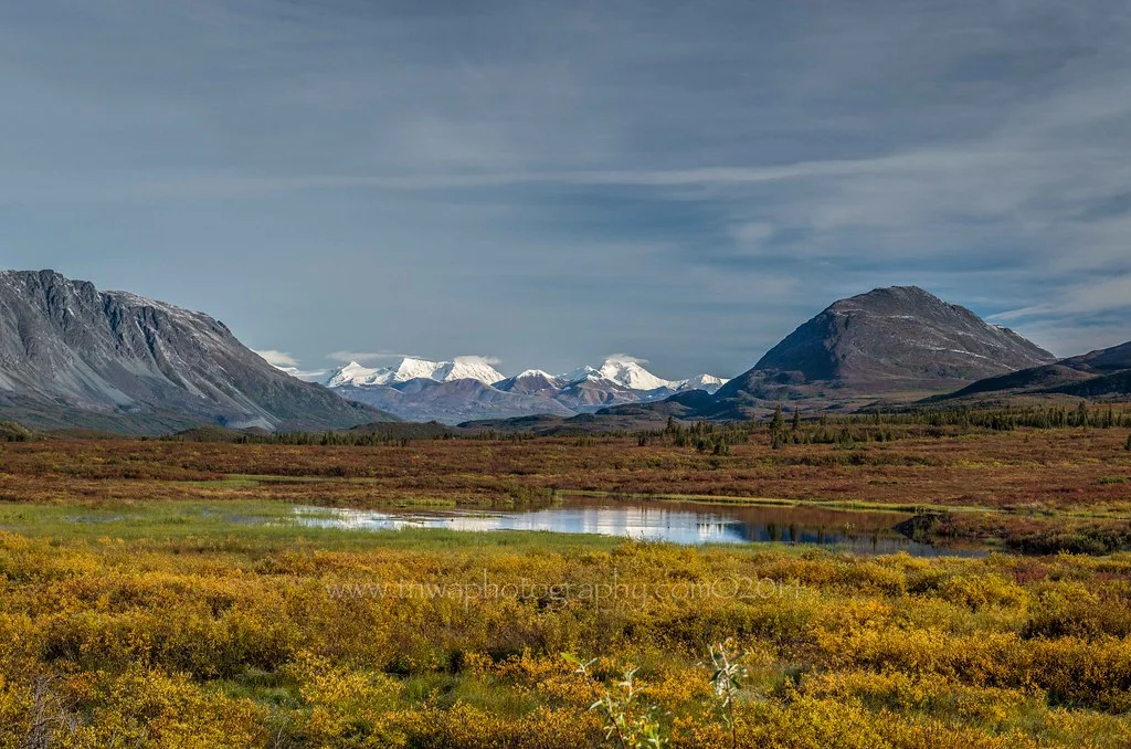 Denali Highway, États-Unis
