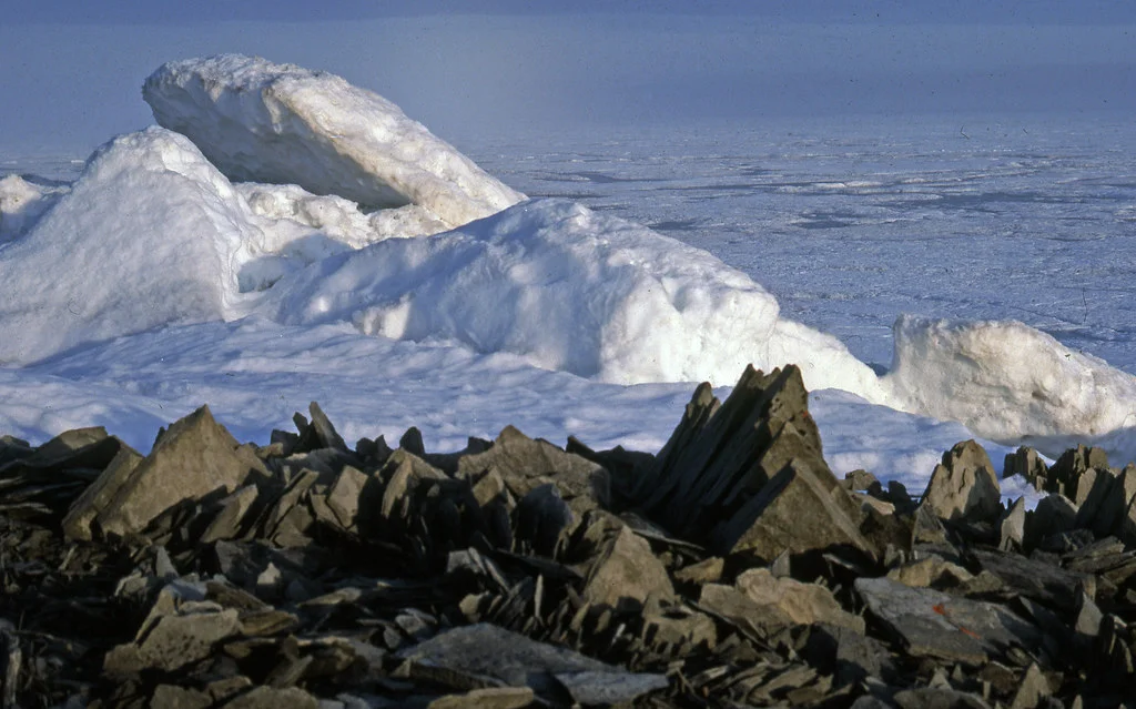 Réserve naturelle du Grand Arctique, Russie