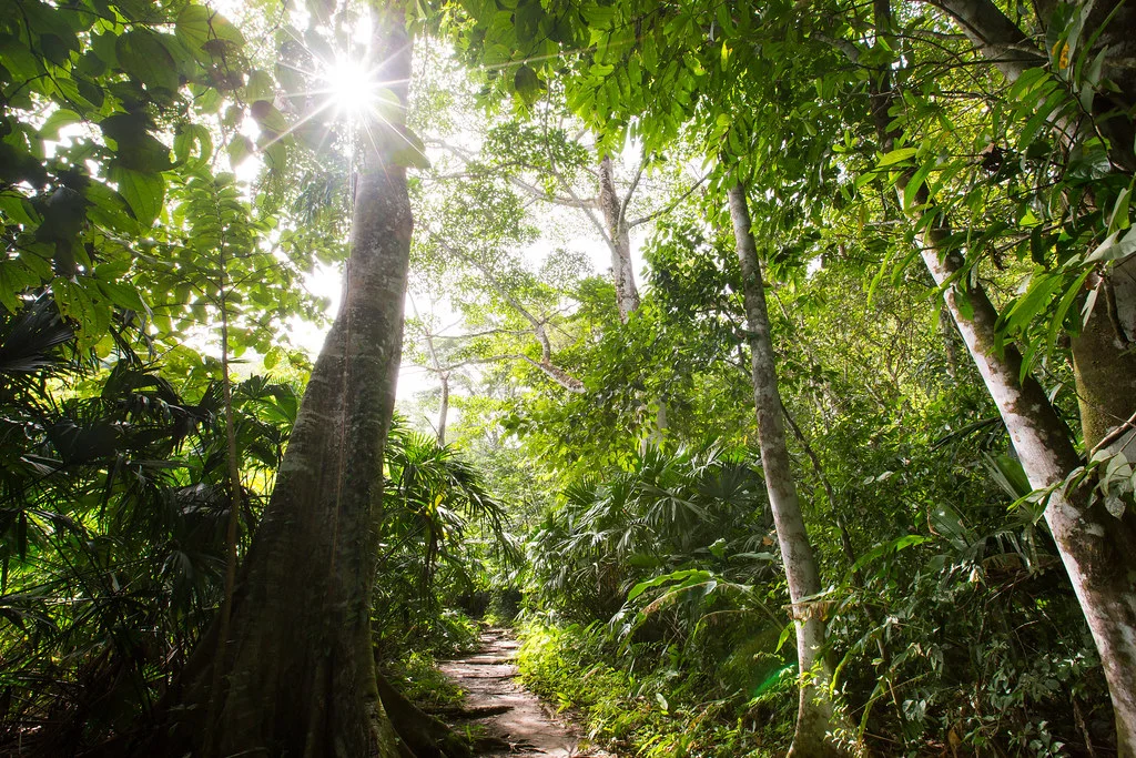 Péninsule du Darién, Panama, Colombie, Colombie, Panama, Panama