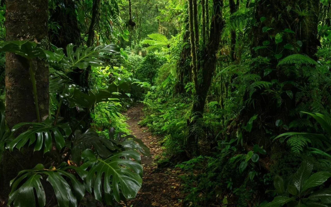 Péninsule du Darién, Panama, Colombie, Colombie, Panama, Panama
