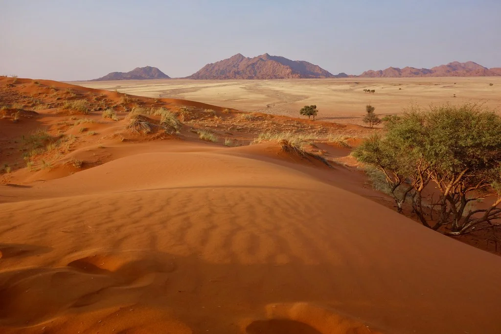 Dune Elim, Namibie