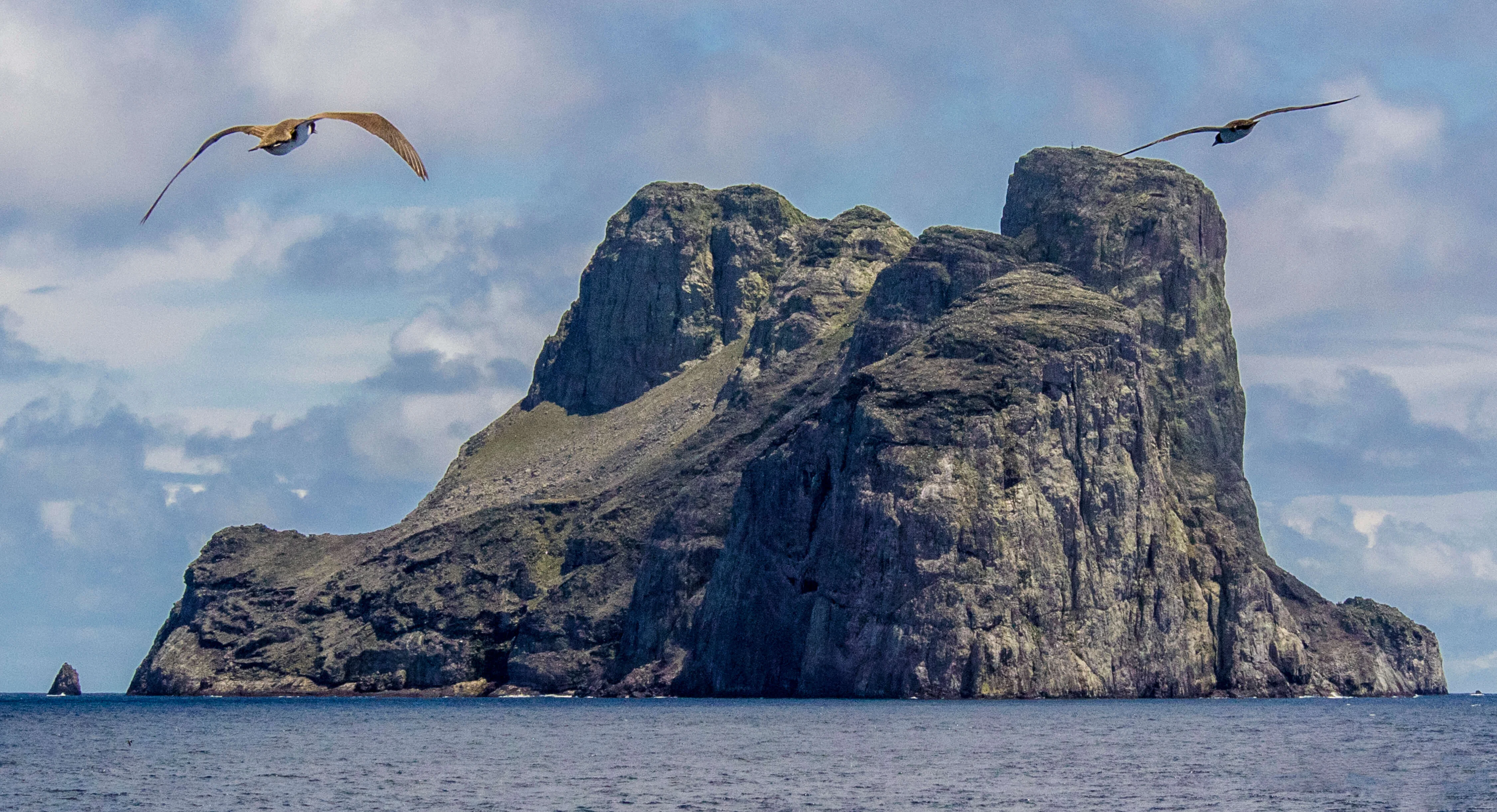 Île de Malpelo, Colombie