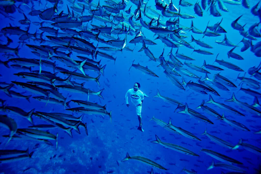 Île de Malpelo, Colombie