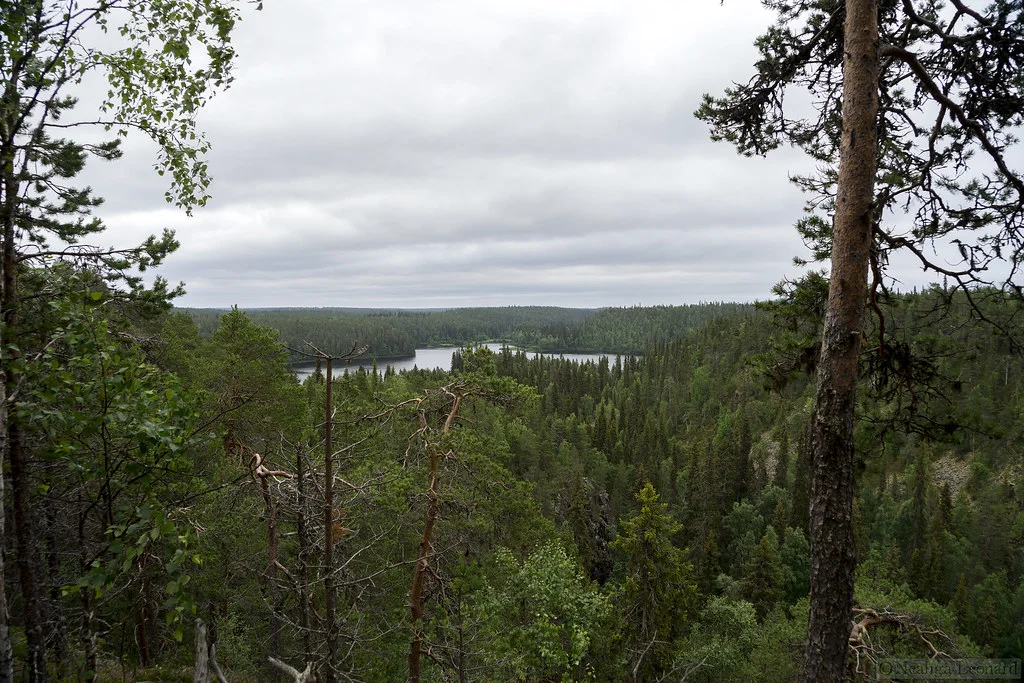 Savilampi, Finlande