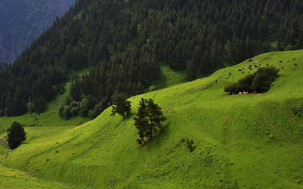 Diklo, Géorgie