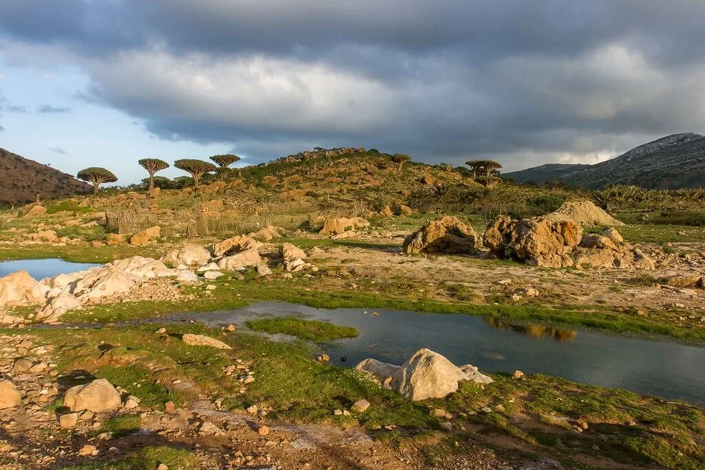 Homhil Campsite, Yémen, Socotra