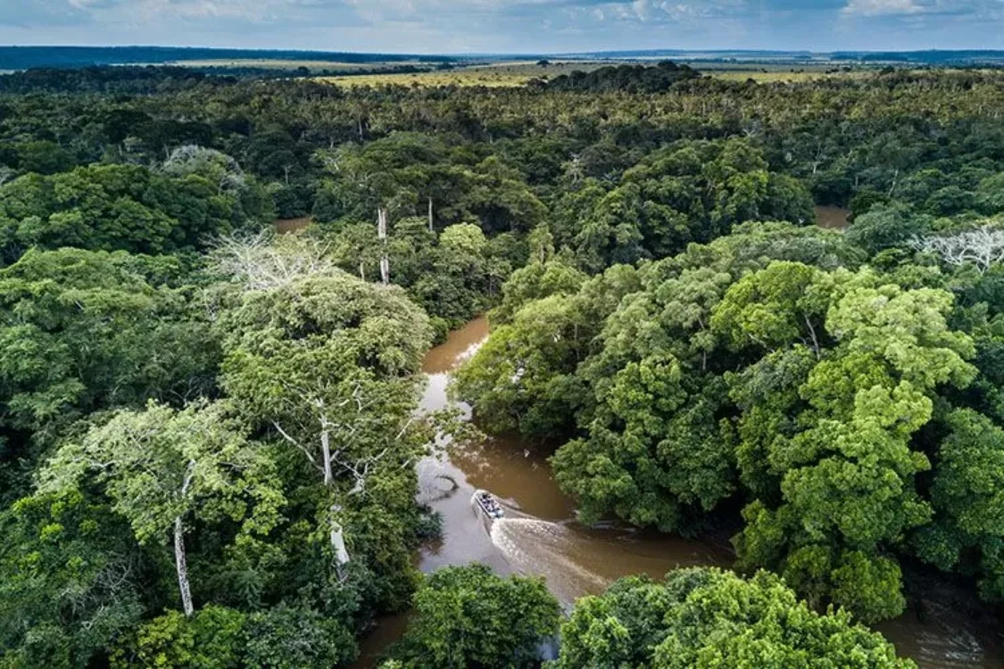 Parc national Dzanga-Ndoki, République centrafricaine